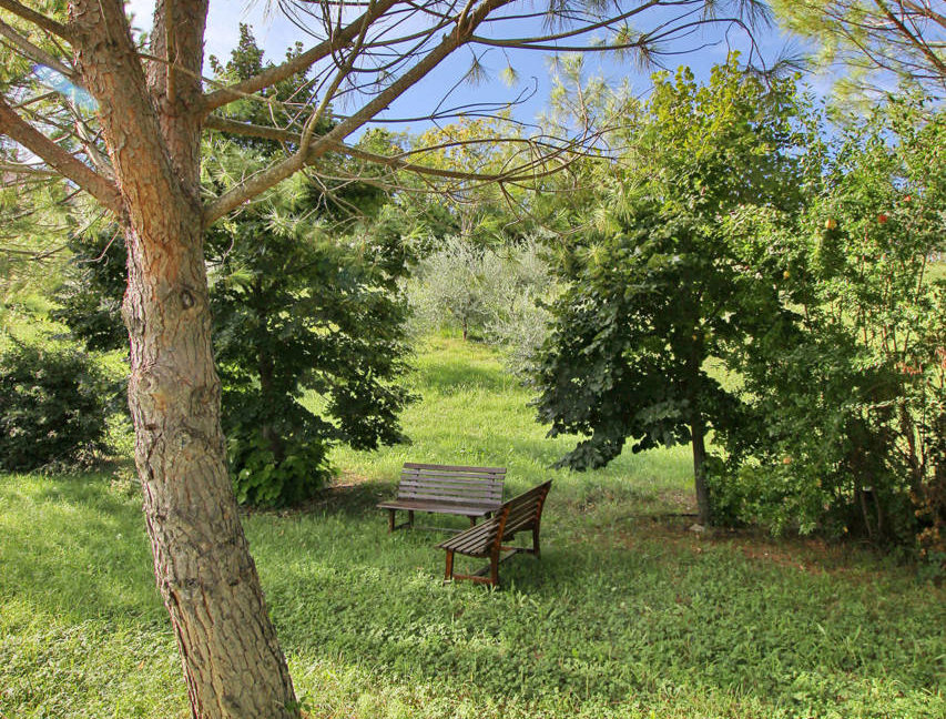 Casa-Gialla_46