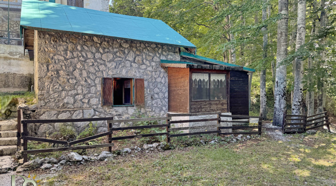 Baita-nel-bosco_03