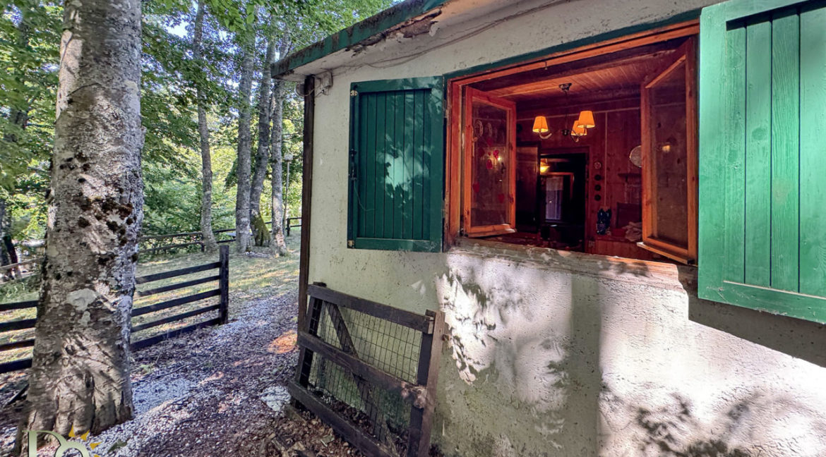Baita-nel-bosco_05