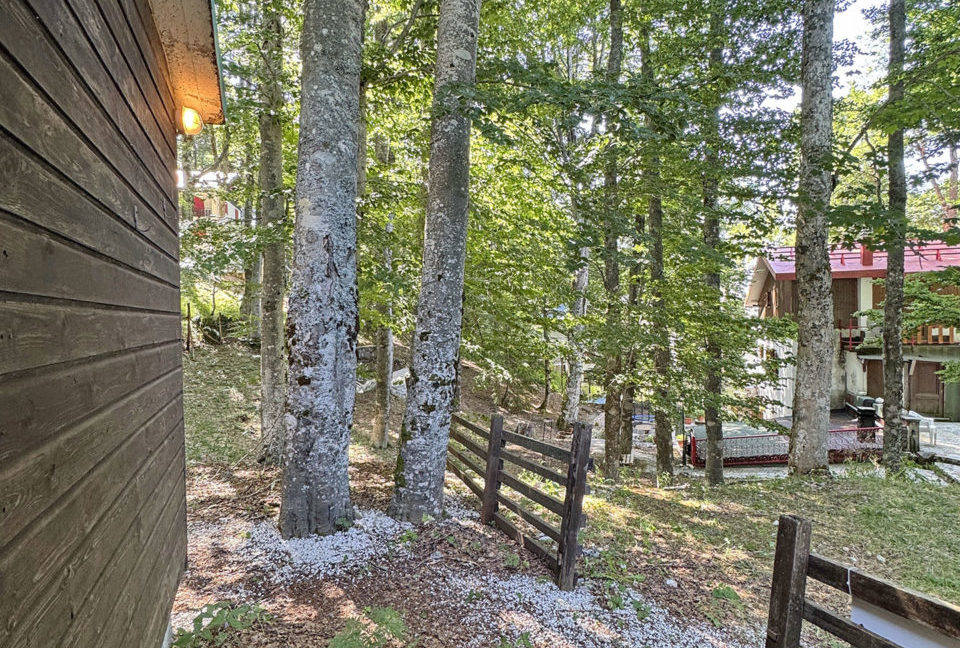 Baita-nel-bosco_31