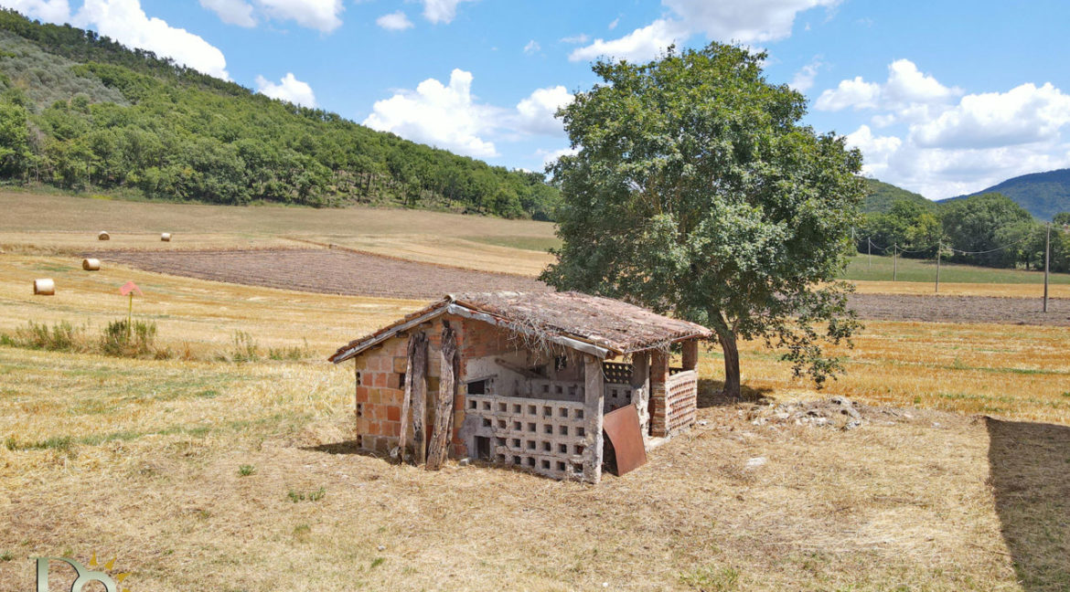 Casale-Valle-Oracola_11