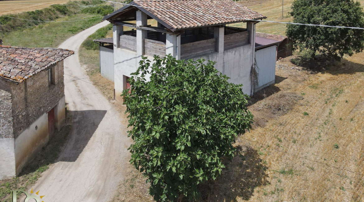 Casale-Valle-Oracola_44